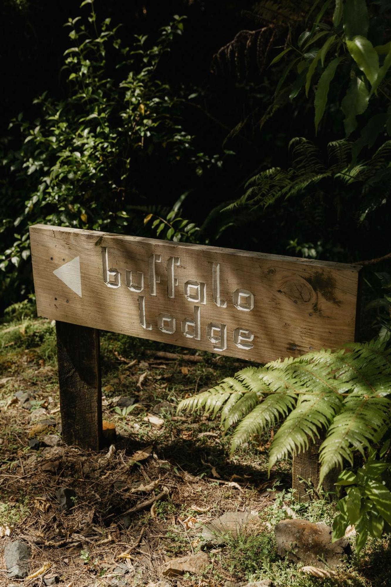 Buffalo Lodge Coromandel Exterior photo